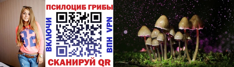 Галлюциногенные грибы Psilocybine cubensis  Ейск 
